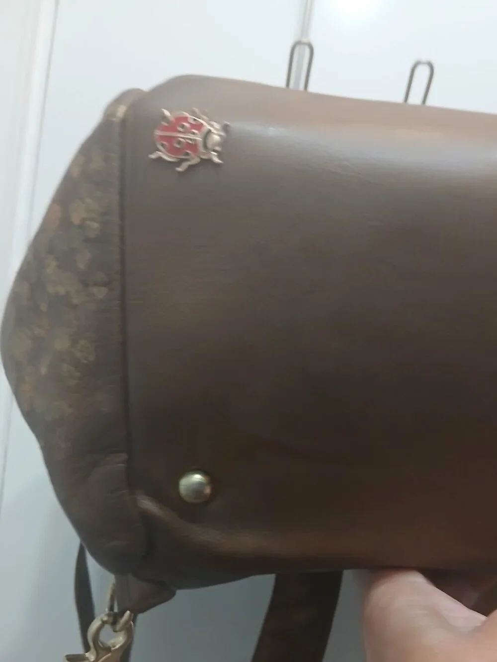 Lily Jade Hand Painted Travel Bag🤎